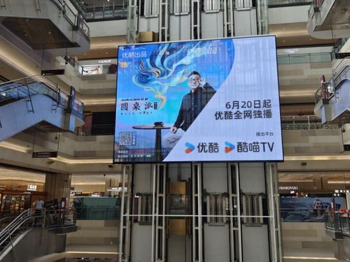 寧靜在喧囂 從《圓桌派》看時代稀缺的“聊愈力”